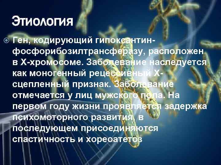 Этиология Ген, кодирующий гипоксантинфосфорибозилтрансферазу, расположен в X-хромосоме. Заболевание наследуется как моногенный рецессивный Xсцепленный признак.