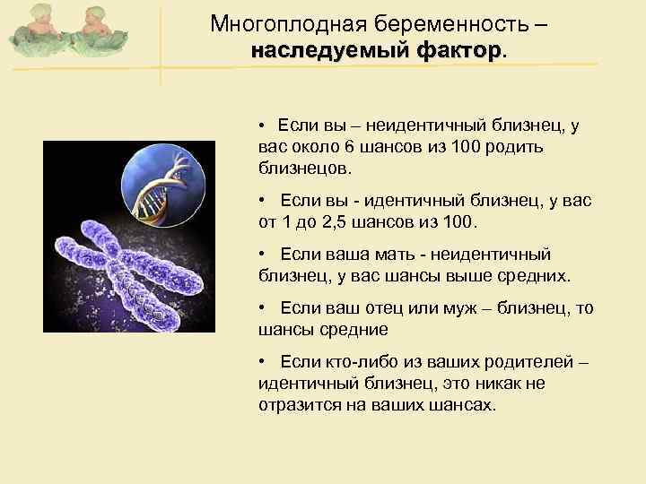 Многоплодная беременность – наследуемый фактор • Если вы – неидентичный близнец, у вас около