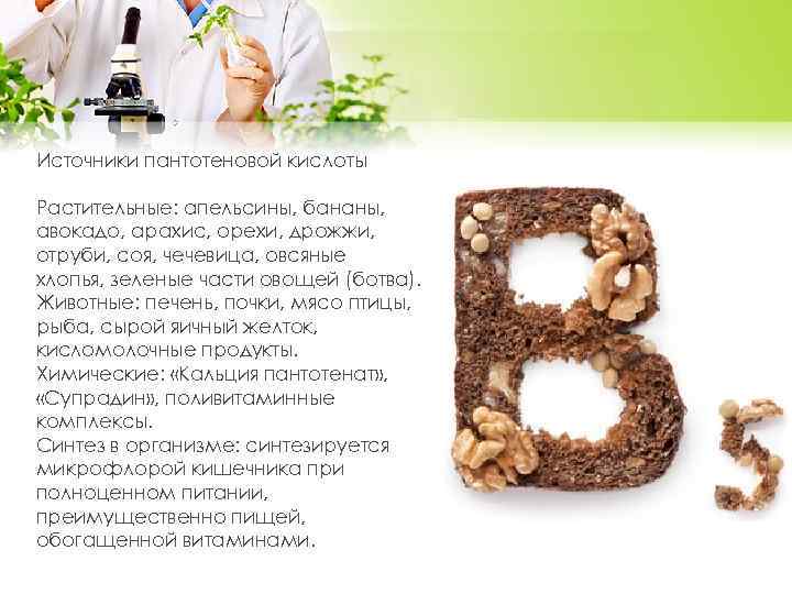 Источники пантотеновой кислоты Растительные: апельсины, бананы, авокадо, арахис, орехи, дрожжи, отруби, соя, чечевица, овсяные