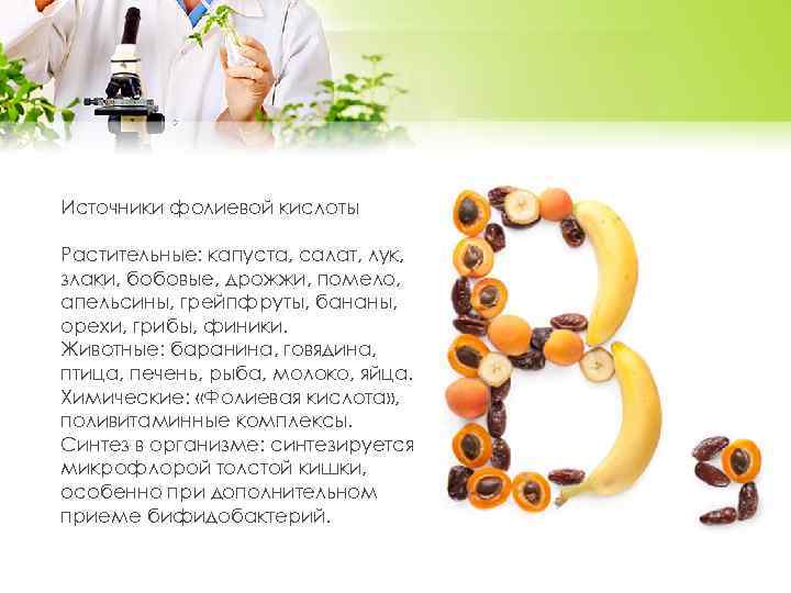 Источники фолиевой кислоты Растительные: капуста, салат, лук, злаки, бобовые, дрожжи, помело, апельсины, грейпфруты, бананы,