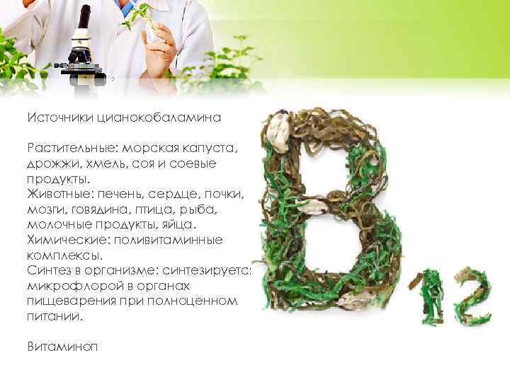 Источники цианокобаламина Растительные: морская капуста, дрожжи, хмель, соя и соевые продукты. Животные: печень, сердце,