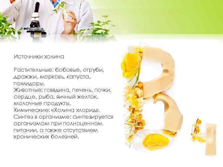 Источники холина Растительные: бобовые, отруби, дрожжи, морковь, капуста, помидоры. Животные: говядина, печень, почки, сердце,