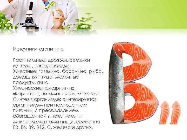 Источники карнитина Растительные: дрожжи, семечки кунжута, тыква, авокадо. Животные: говядина, баранина, рыба, домашняя птица,