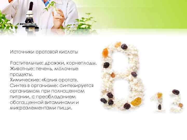 Источники оротовой кислоты Растительные: дрожжи, корнеплоды. Животные: печень, молочные продукты. Химические: «Калия оротат» .