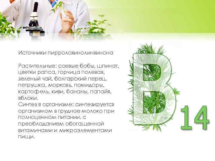 Источники пирролохинолинхинона Растительные: соевые бобы, шпинат, цветки рапса, горчица полевая, зеленый чай, болгарский перец,