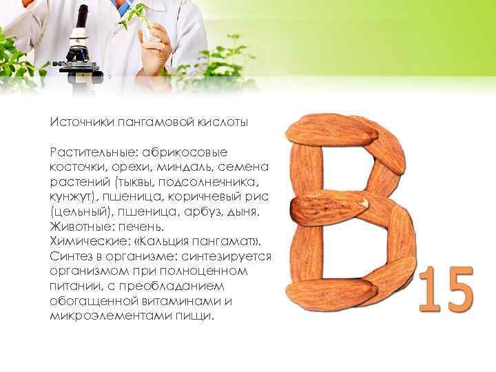 Источники пангамовой кислоты Растительные: абрикосовые косточки, орехи, миндаль, семена растений (тыквы, подсолнечника, кунжут), пшеница,