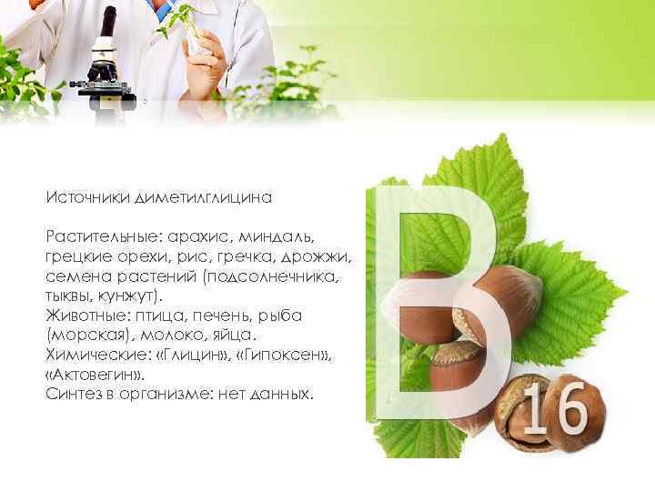 Источники диметилглицина Растительные: арахис, миндаль, грецкие орехи, рис, гречка, дрожжи, семена растений (подсолнечника, тыквы,