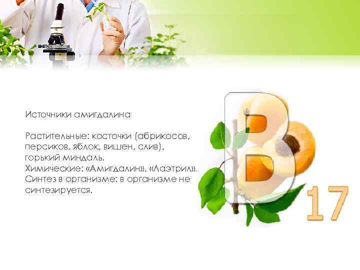 Источники амигдалина Растительные: косточки (абрикосов, персиков, яблок, вишен, слив), горький миндаль. Химические: «Амигдалин» ,