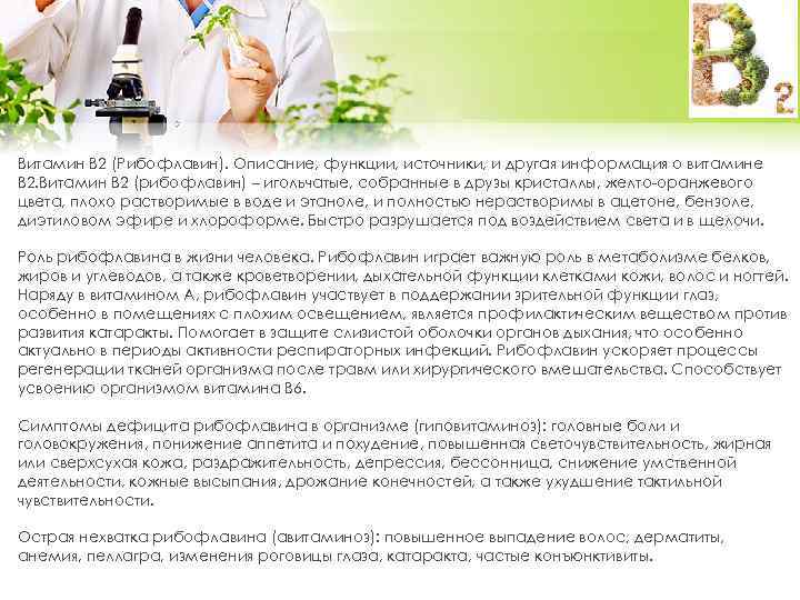 Витамин B 2 (Рибофлавин). Описание, функции, источники, и другая информация о витамине B 2.