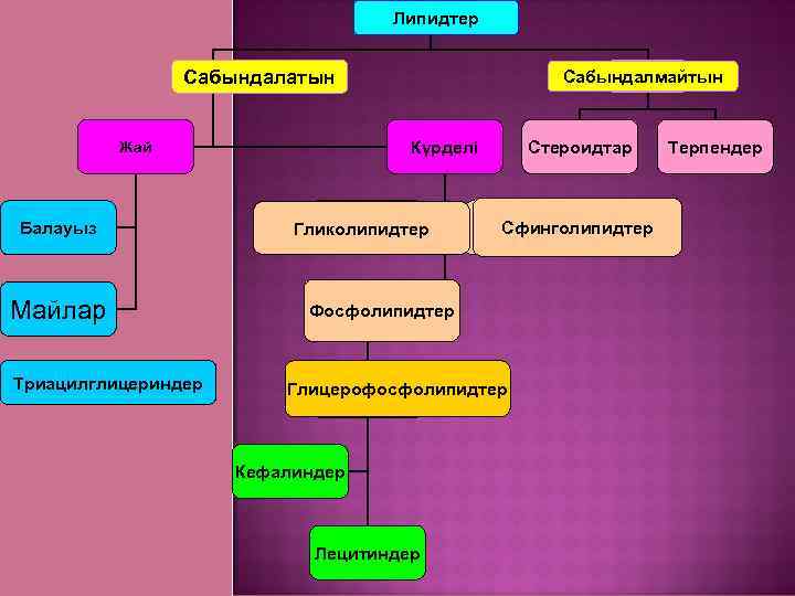 Липидтер алмасуы презентация