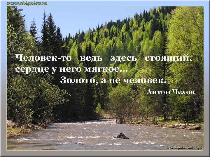 Человек-то ведь здесь стоящий, сердце у него мягкое… Золото, а не человек. Антон Чехов