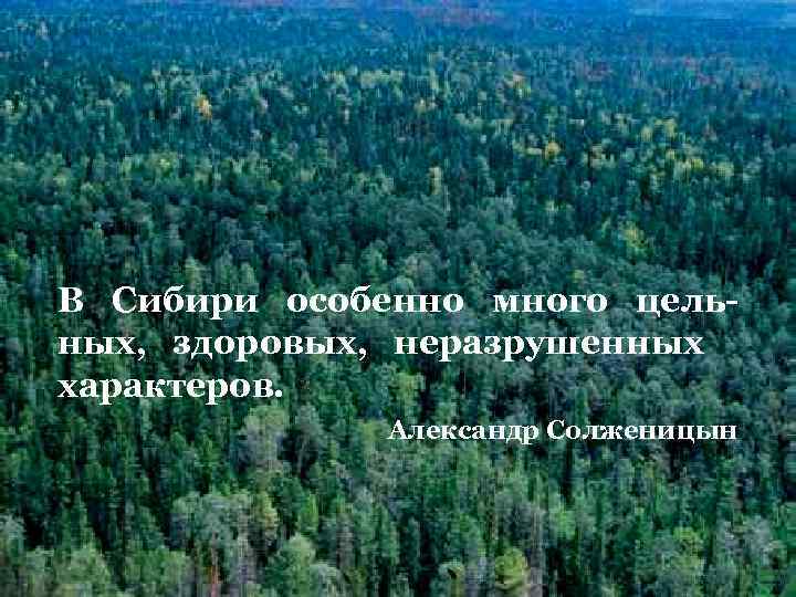 В Сибири особенно много цельных, здоровых, неразрушенных характеров. Александр Солженицын 