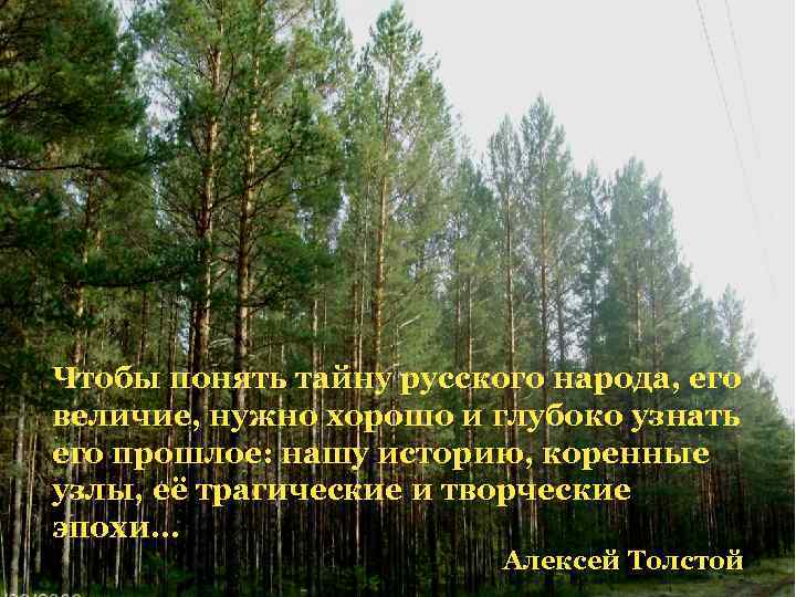 Чтобы понять тайну русского народа, его величие, нужно хорошо и глубоко узнать его прошлое: