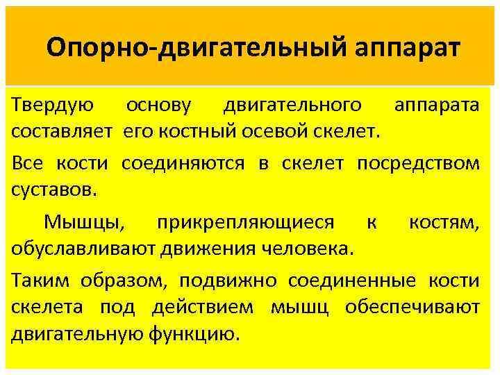 Опорно-двигательный аппарат Твердую основу двигательного аппарата составляет его костный осевой скелет. Все кости соединяются