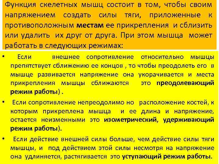 Функция скелетных мышц состоит в том, чтобы своим напряжением создать силы тяги, приложенные к