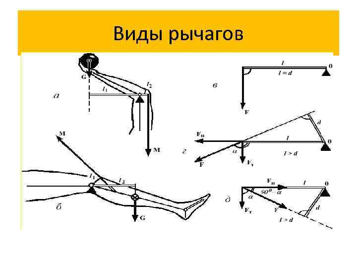 Виды рычагов 