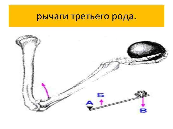 рычаги третьего рода. 