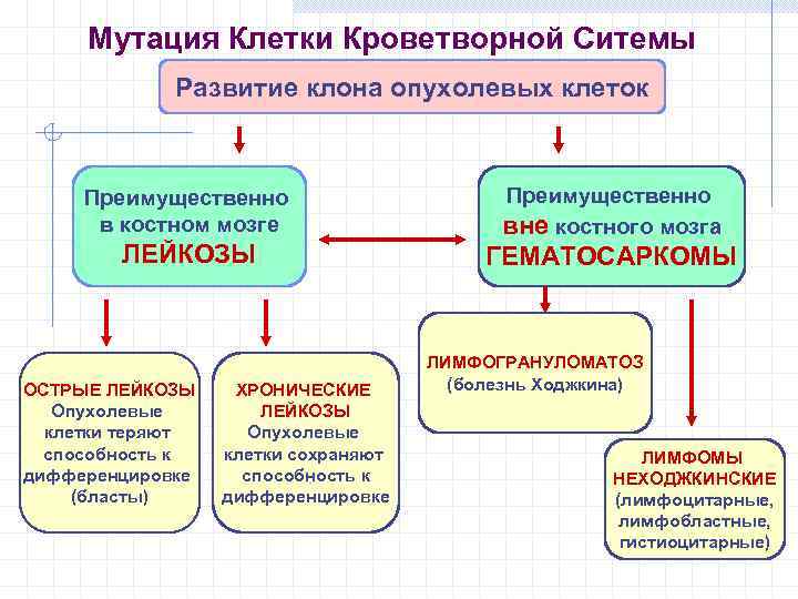 Мутация Клетки Кроветворной Ситемы Развитие клона опухолевых клеток Преимущественно в костном мозге ЛЕЙКОЗЫ ОСТРЫЕ