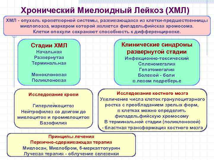 Хронический Миелоидный Лейкоз (ХМЛ) ХМЛ - опухоль кроветворной системы, развивающаяся из клетки-предшественницы миелопоэза, маркером