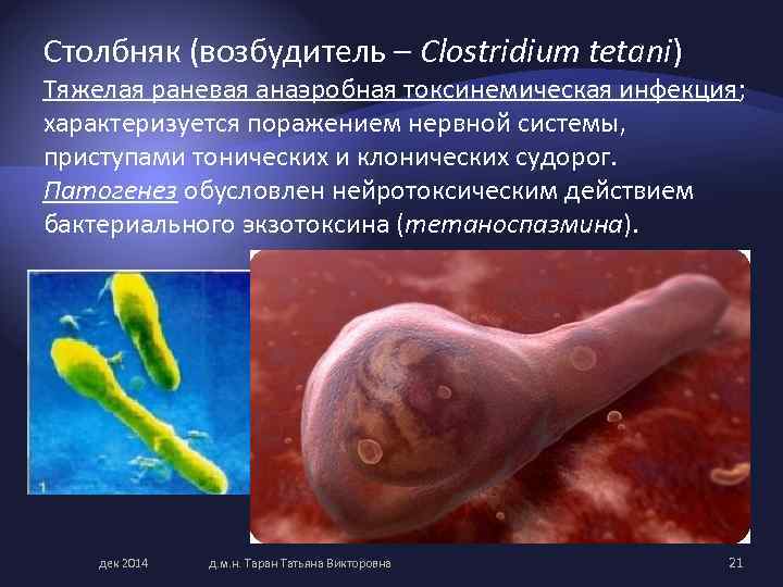 Столбняк (возбудитель – Clostridium tetani) Тяжелая раневая анаэробная токсинемическая инфекция; характеризуется поражением нервной системы,