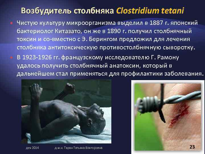 Возбудитель столбняка Clostridium tetani Чистую культуру микроорганизма выделил в 1887 г. японский бактериолог Китазато,
