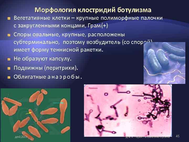 Clostridium botulinum презентация