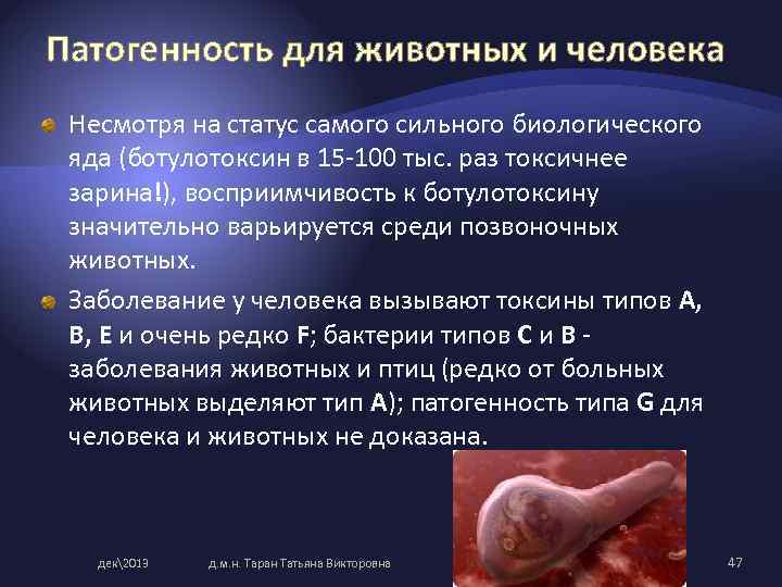 Патогенность для животных и человека Несмотря на статус самого сильного биологического яда (ботулотоксин в