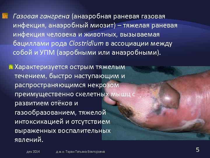 Газовая гангрена (анаэробная раневая газовая инфекция, анаэробный миозит) – тяжелая раневая инфекция человека и
