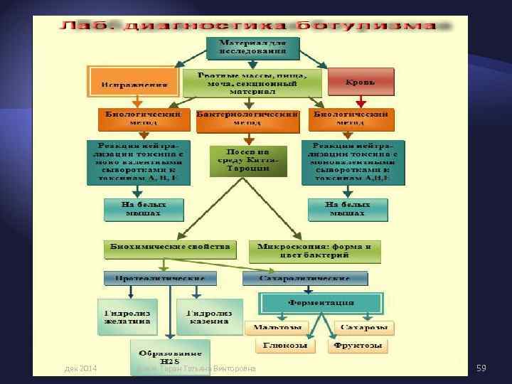 дек 2014 д. м. н. Таран Татьяна Викторовна 59 