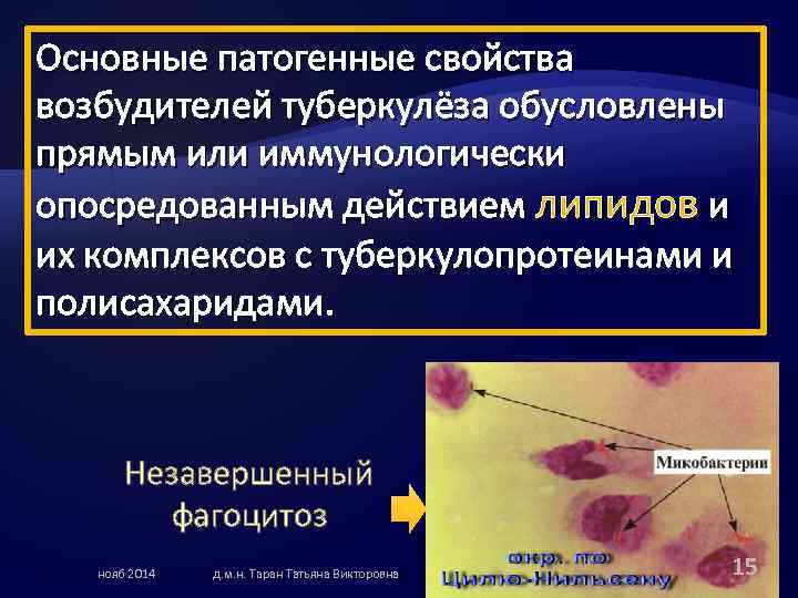 Основные патогенные свойства возбудителей туберкулёза обусловлены прямым или иммунологически опосредованным действием липидов и их