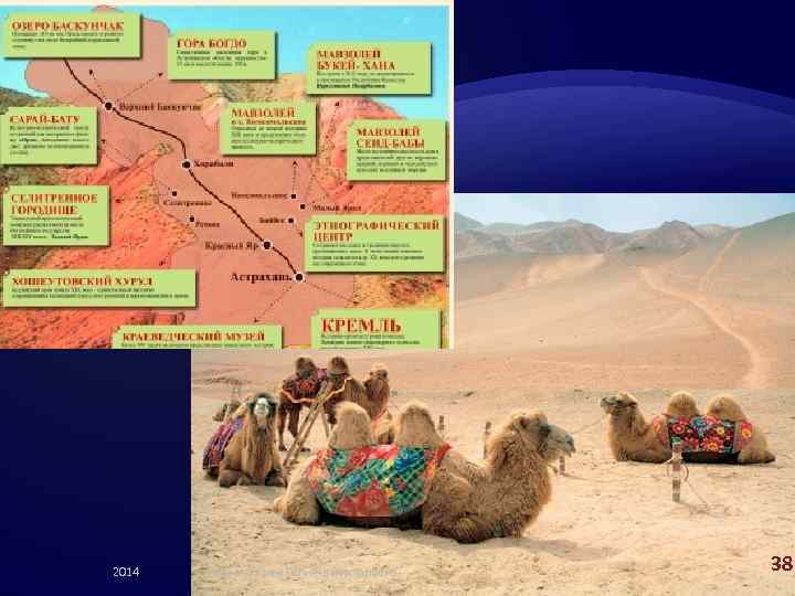 2014 д. м. н. Таран Татьяна Викторовна 38 