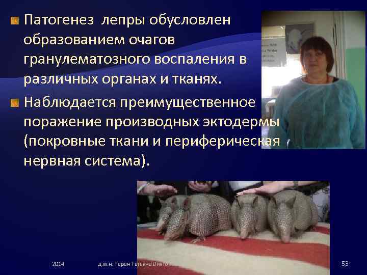 Патогенез лепры обусловлен образованием очагов гранулематозного воспаления в различных органах и тканях. Наблюдается преимущественное