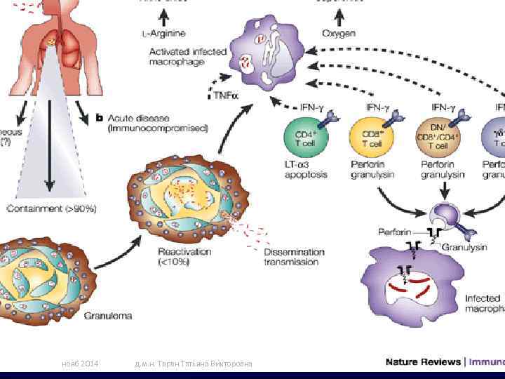 нояб 2014 д. м. н. Таран Татьяна Викторовна 70 