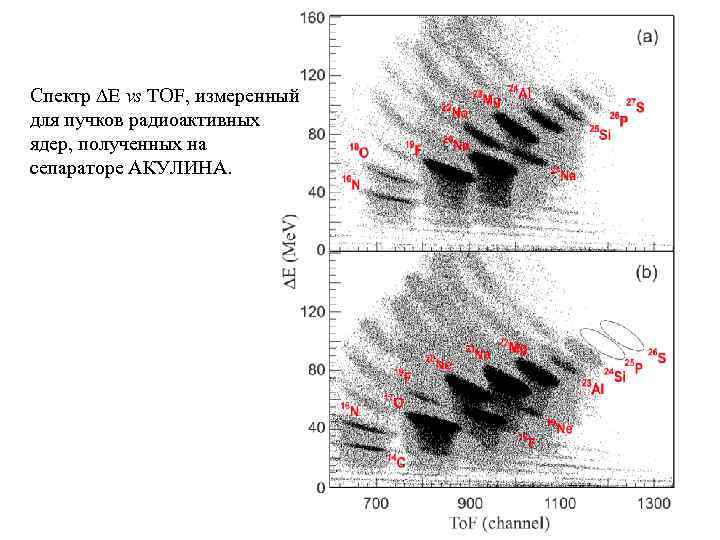 Спектр E vs TOF, измеренный для пучков радиоактивных ядер, полученных на сепараторе АКУЛИНА. 