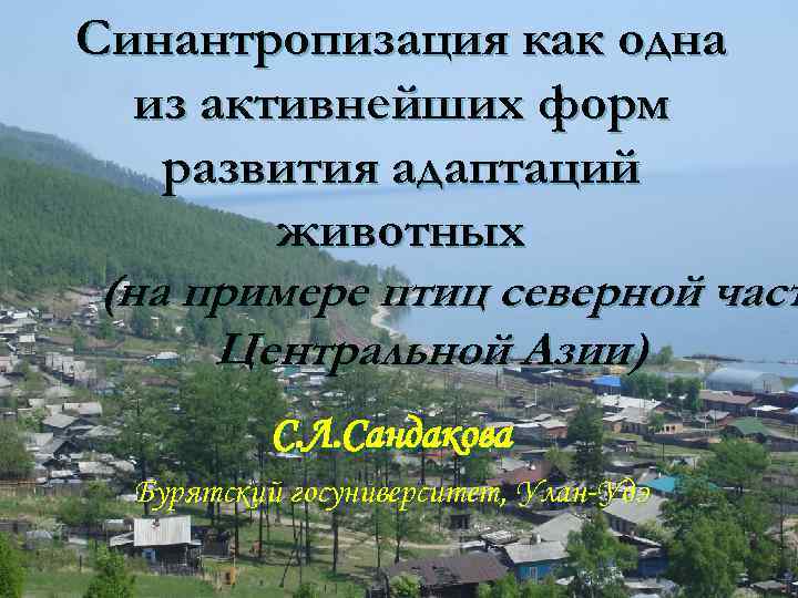 Синантропизация как одна из активнейших форм развития адаптаций животных (на примере птиц северной част