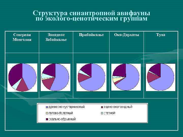 Структура синантропной авифауны по эколого-ценотическим группам Северная Монголия Западное Забайкалье Прибайкалье Ока-Дархаты Тува 
