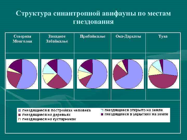 Структура синантропной авифауны по местам гнездования Северная Монголия Западное Забайкалье Прибайкалье Ока-Дархаты Тува 