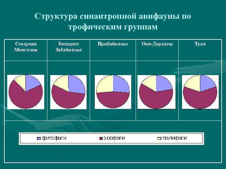Структура синантропной авифауны по трофическим группам Северная Монголия Западное Забайкалье Прибайкалье Ока-Дархаты Тува 