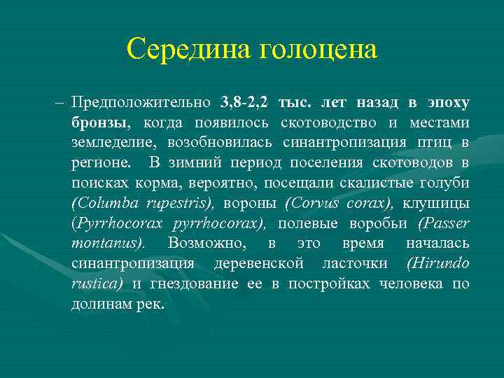 Середина голоцена – Предположительно 3, 8 -2, 2 тыс. лет назад в эпоху бронзы,