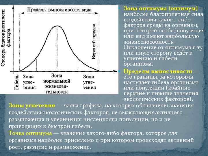 Оптимум б