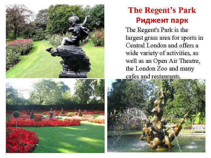 The Regent’s Park Риджент парк The Regent's Park is the largest grass area for
