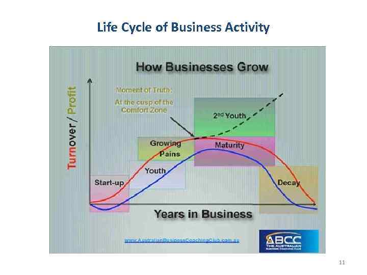 Life Cycle of Business Activity 11 