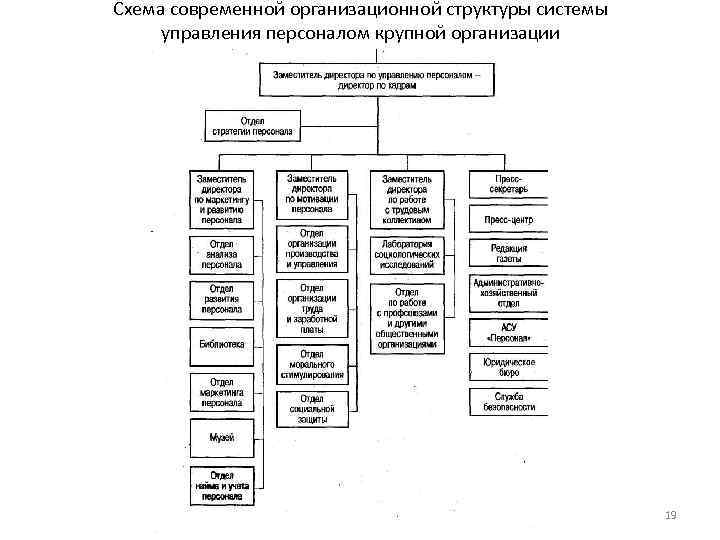 Схема современной организационной структуры системы управления персоналом крупной организации 19 