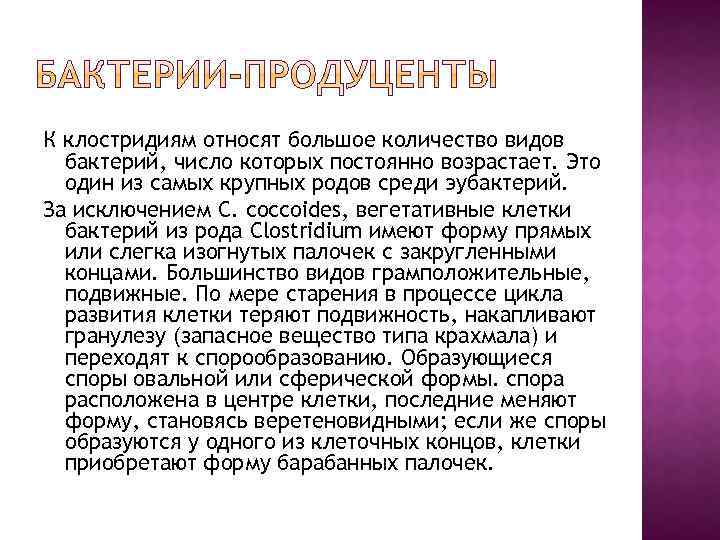 К клостридиям относят большое количество видов бактерий, число которых постоянно возрастает. Это один из