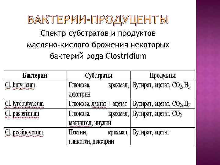 Спектр субстратов и продуктов масляно-кислого брожения некоторых бактерий рода Clostridium 