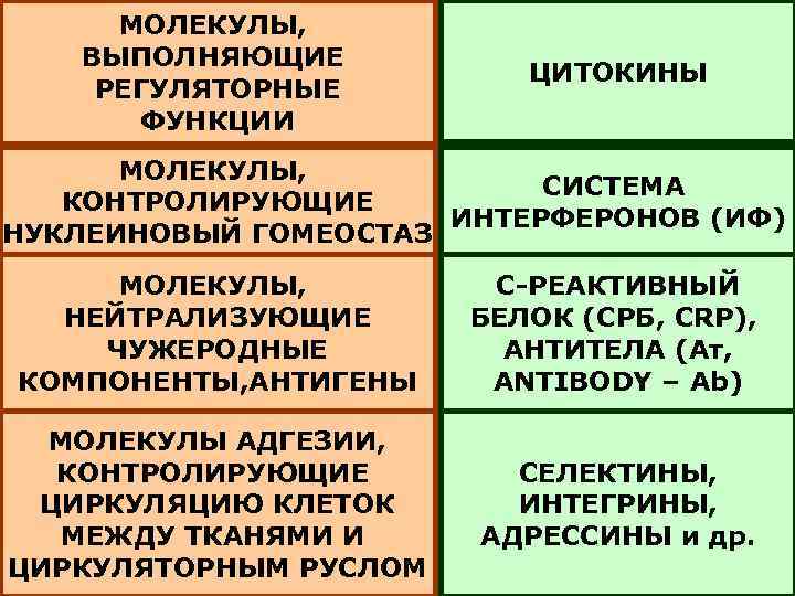 МОЛЕКУЛЫ, ВЫПОЛНЯЮЩИЕ РЕГУЛЯТОРНЫЕ ФУНКЦИИ ЦИТОКИНЫ МОЛЕКУЛЫ, СИСТЕМА КОНТРОЛИРУЮЩИЕ ИНТЕРФЕРОНОВ (ИФ) НУКЛЕИНОВЫЙ ГОМЕОСТАЗ МОЛЕКУЛЫ, НЕЙТРАЛИЗУЮЩИЕ
