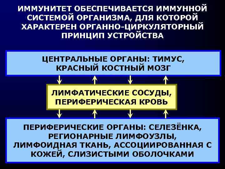 ИММУНИТЕТ ОБЕСПЕЧИВАЕТСЯ ИММУННОЙ СИСТЕМОЙ ОРГАНИЗМА, ДЛЯ КОТОРОЙ ХАРАКТЕРЕН ОРГАННО-ЦИРКУЛЯТОРНЫЙ ПРИНЦИП УСТРОЙСТВА ЦЕНТРАЛЬНЫЕ ОРГАНЫ: ТИМУС,
