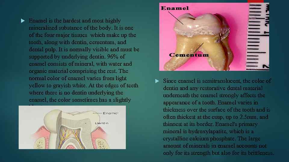  Enamel is the hardest and most highly mineralized substance of the body. It