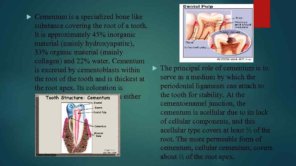  Cementum is a specialized bone like substance covering the root of a tooth.