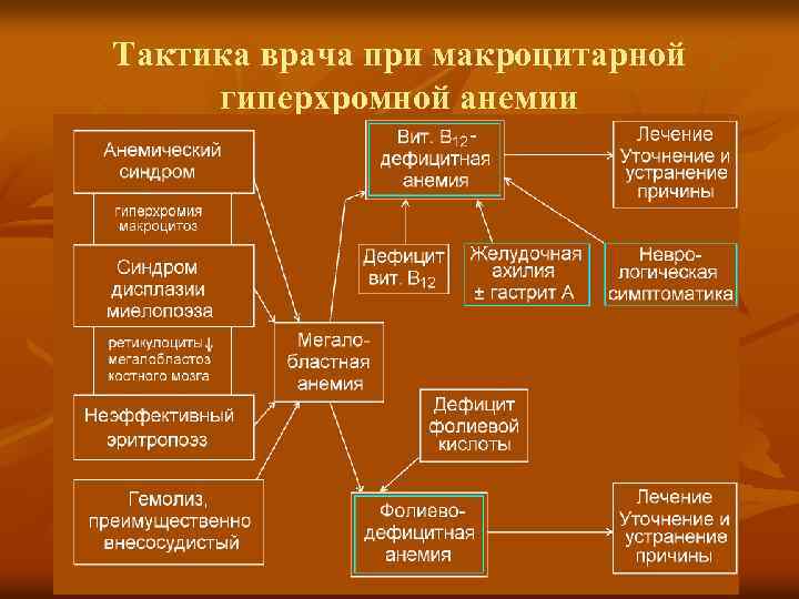 Тактика врача при макроцитарной гиперхромной анемии 